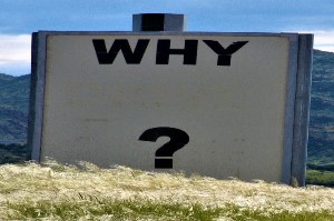 5Whys